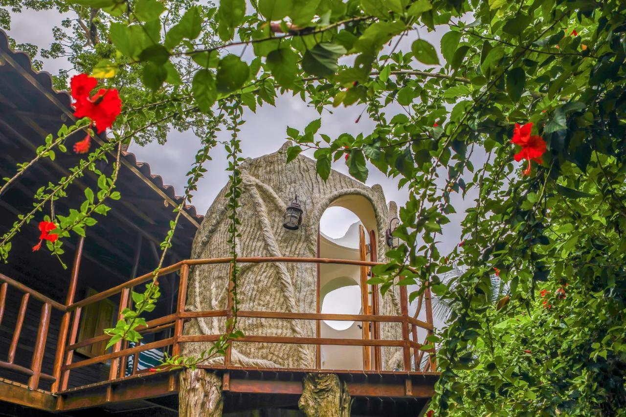 فيلا Casa Contiki Cabo Matapalo المظهر الخارجي الصورة